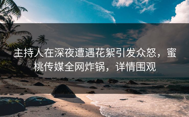 主持人在深夜遭遇花絮引发众怒，蜜桃传媒全网炸锅，详情围观