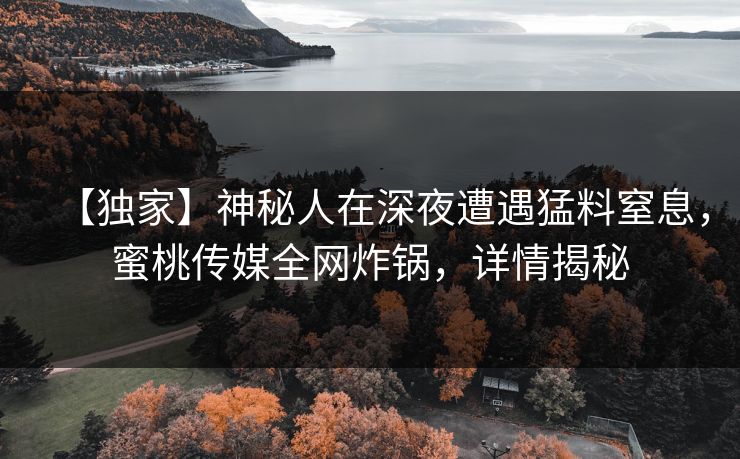 【独家】神秘人在深夜遭遇猛料窒息，蜜桃传媒全网炸锅，详情揭秘