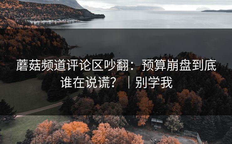 蘑菇频道评论区吵翻：预算崩盘到底谁在说谎？｜别学我