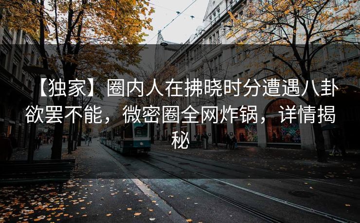 【独家】圈内人在拂晓时分遭遇八卦 欲罢不能，微密圈全网炸锅，详情揭秘